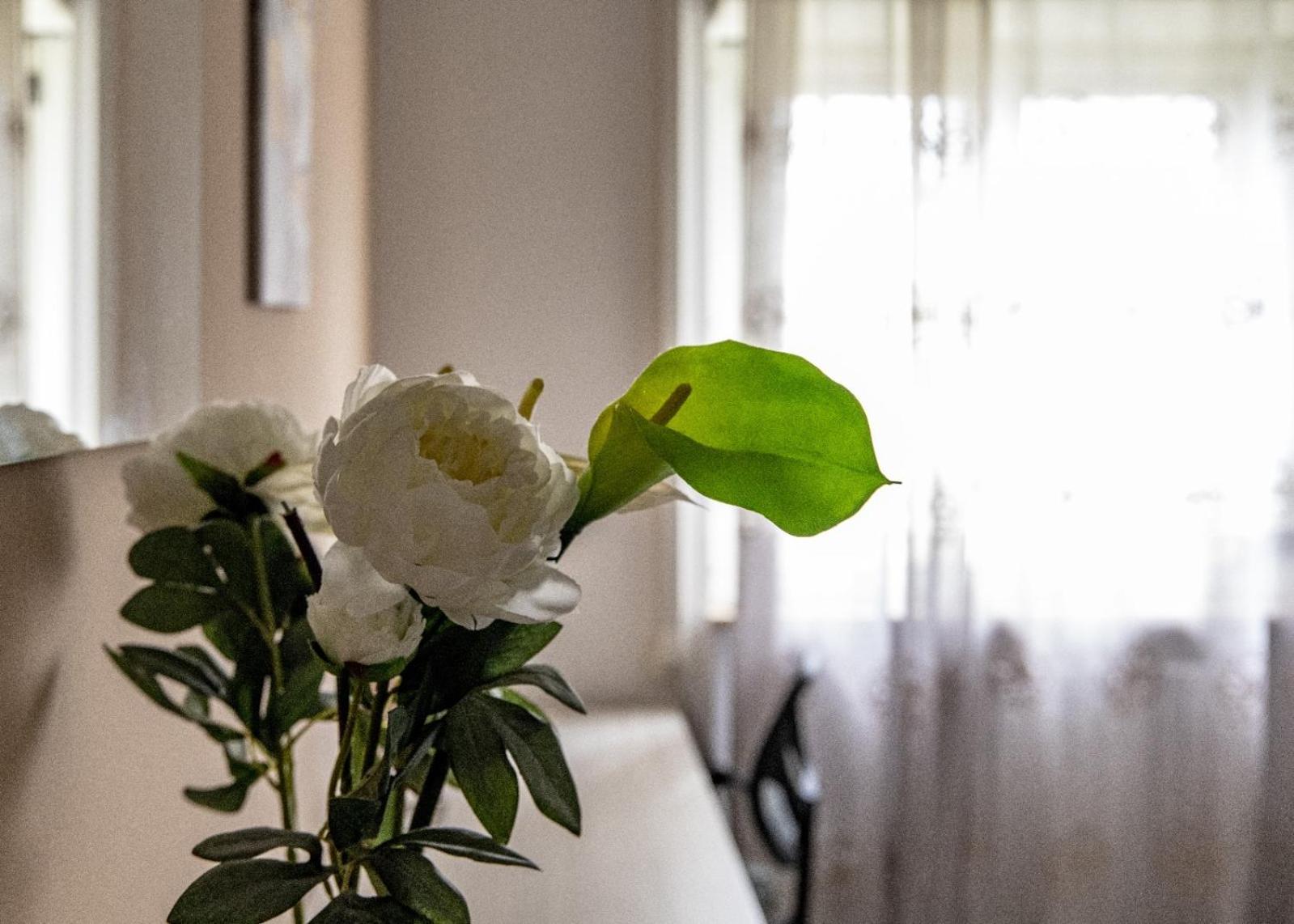 Madrigio... A Casa Propria Lejlighed Casamassima Eksteriør billede